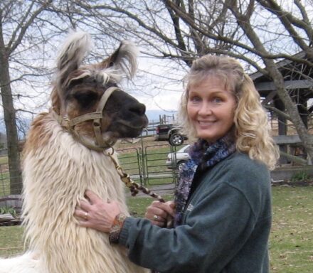 Carolyn Ayers with a llama