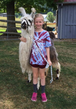 Little Girl Posing With Llama